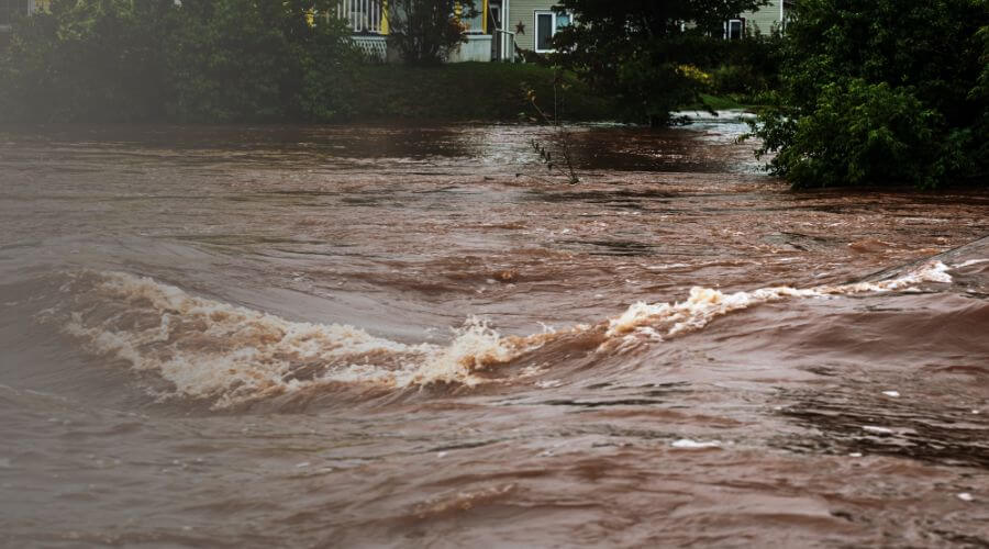 Why choose water damage restoration service for storm damage restoration in Clifton